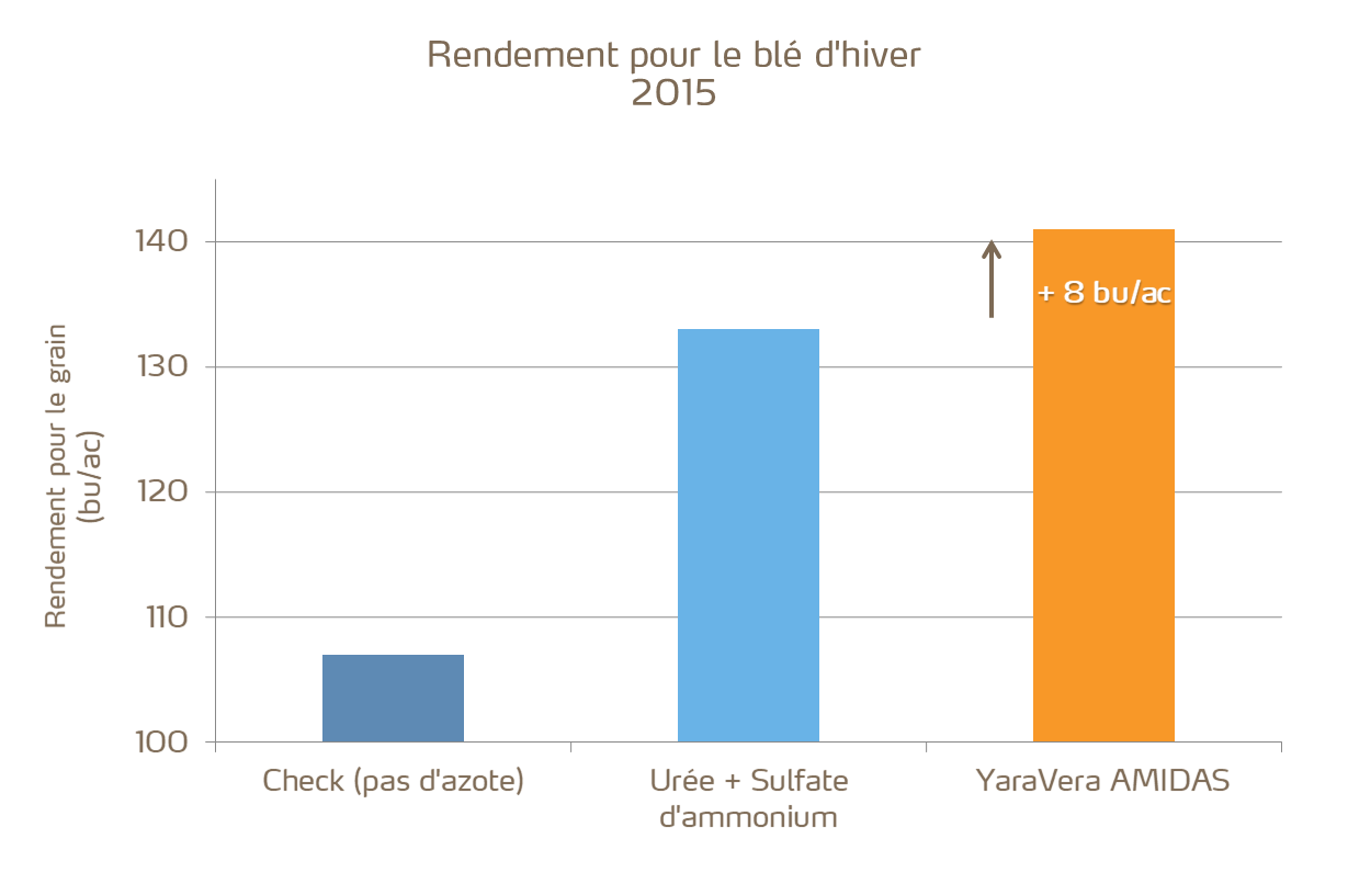 Obtenez des rendements pour le blé plus élevés avec YaraVera AMIDAS