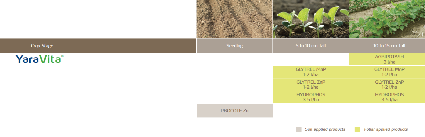 programme de nutrition des soja