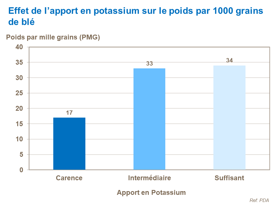 FR - effect of K supply on 1000 grain weight.png