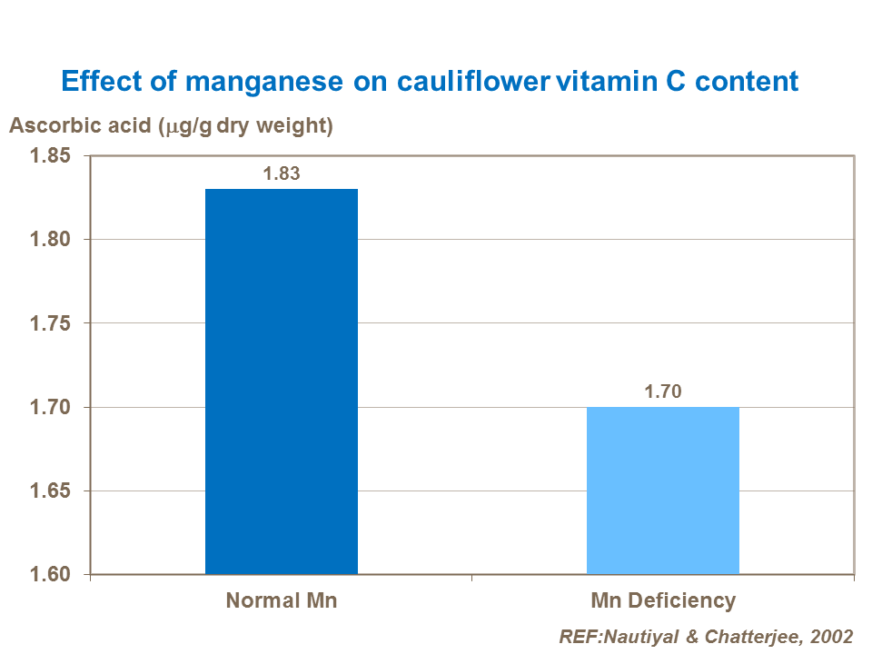Effect of manganese on cauliflower vitamin C content