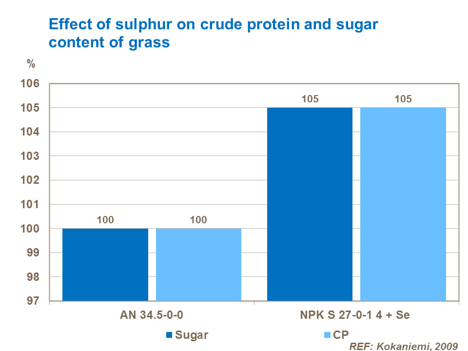 Effaith sylffwr ar y cynnwys protein crai a siwgr mewn gwair