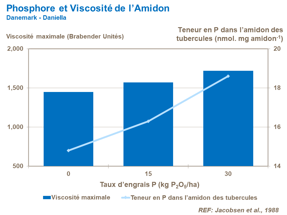 FR-phosphorus and starch viscosity.png