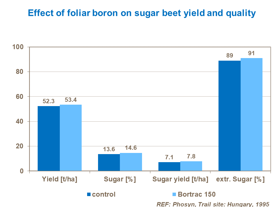 Effect of foliar boron on sugar beet yield and quality