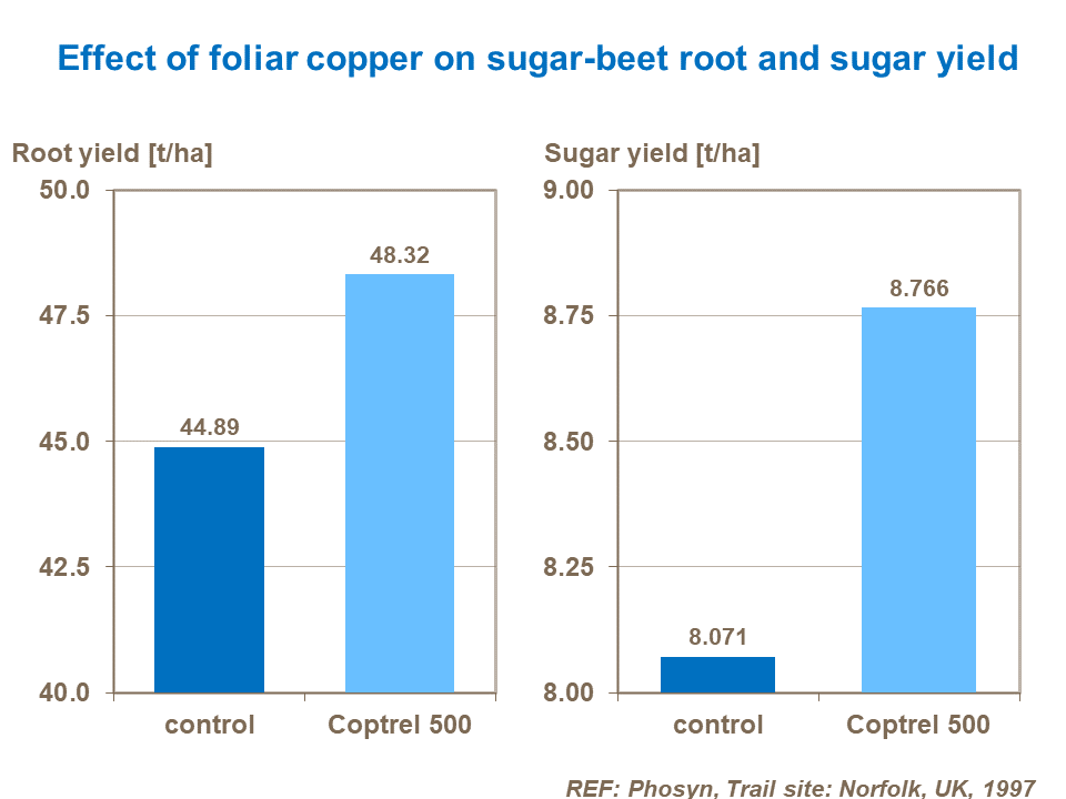 Effect of foliar copper on sugar-beet root and sugar yield