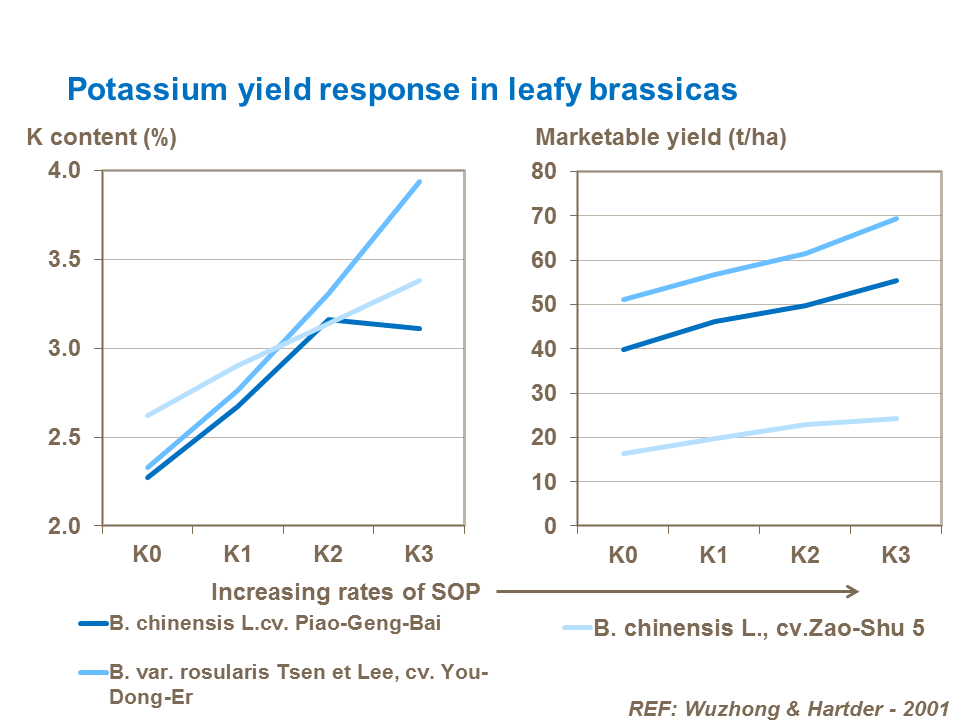 Potassium yield response in leafy brassicas