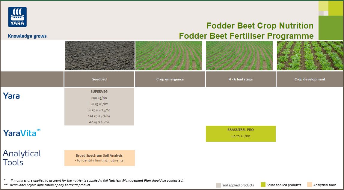 Fodder beet fertiliser programme